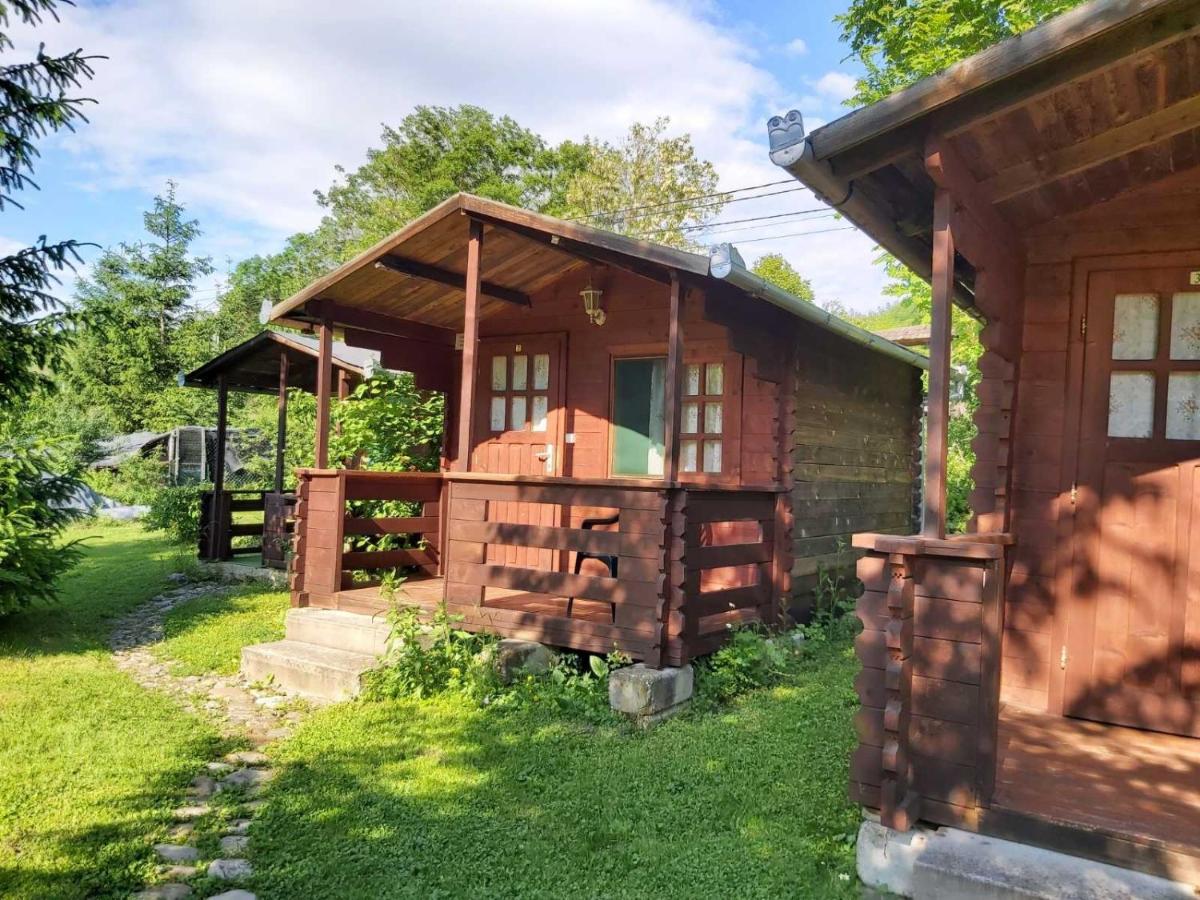 Bungalow Camping Edelweiss - Floare De Colt - Gyopar Риметя Экстерьер фото