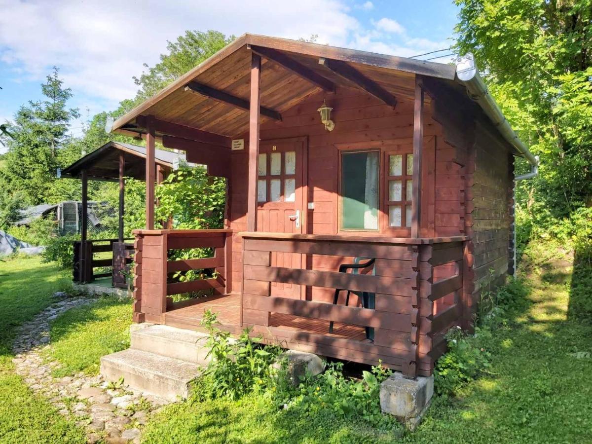 Bungalow Camping Edelweiss - Floare De Colt - Gyopar Риметя Экстерьер фото