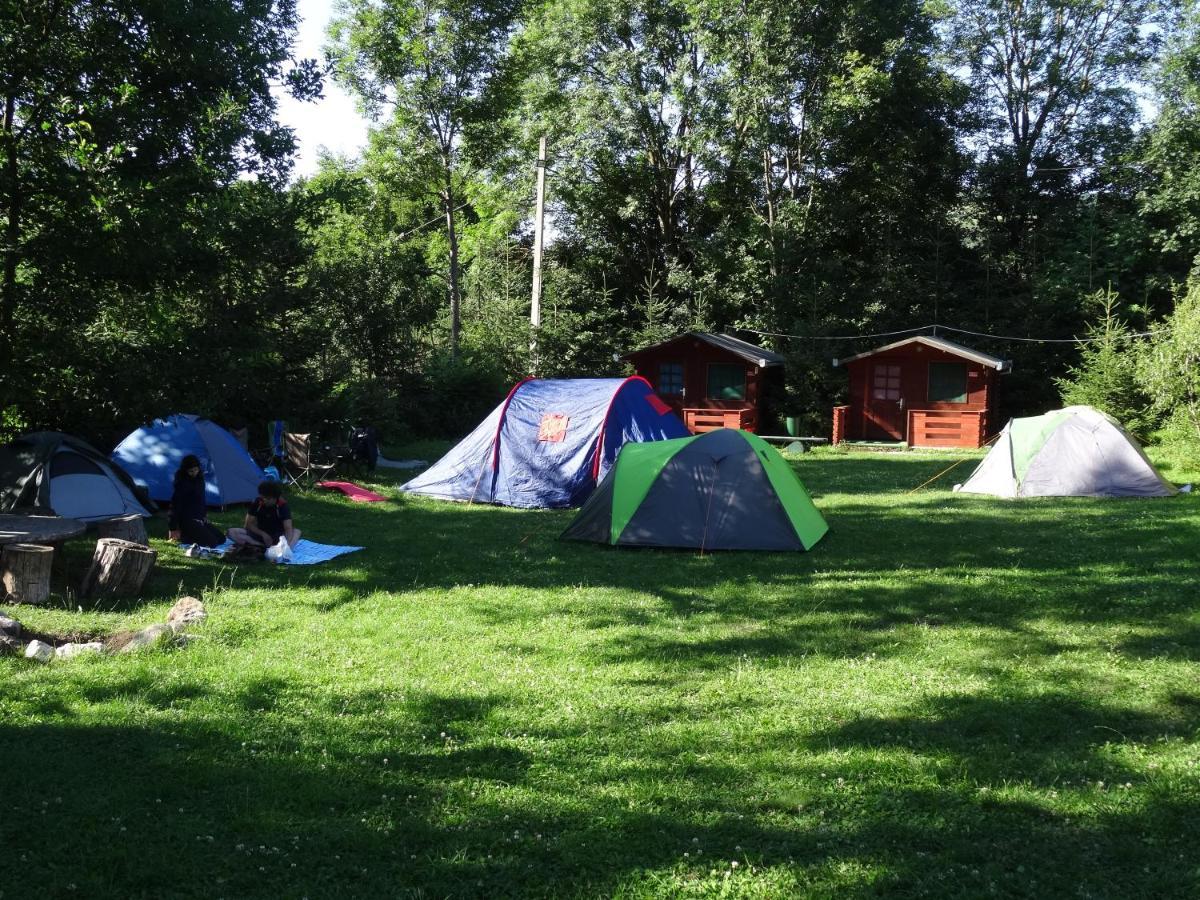 Bungalow Camping Edelweiss - Floare De Colt - Gyopar Риметя Экстерьер фото