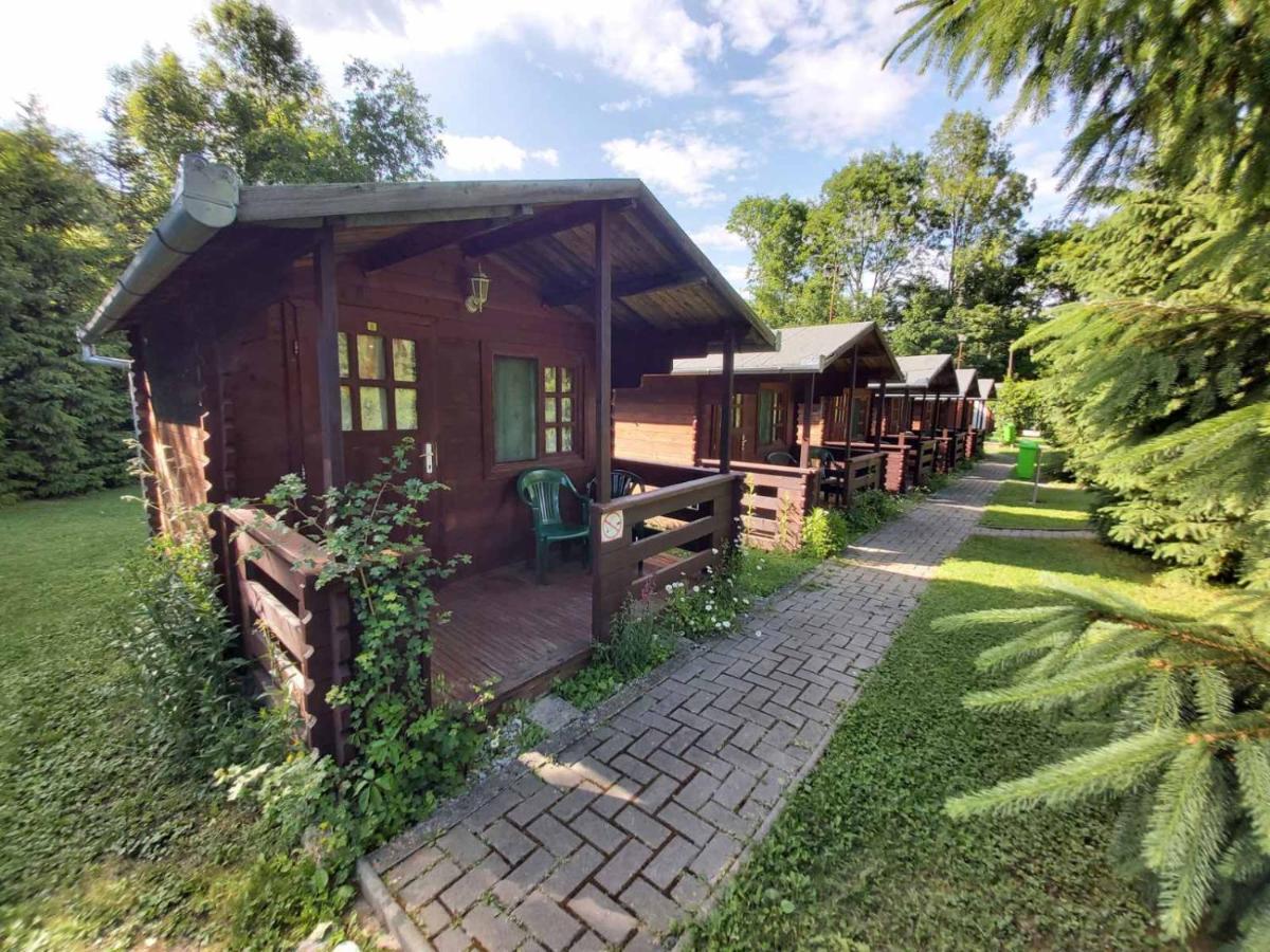 Bungalow Camping Edelweiss - Floare De Colt - Gyopar Риметя Экстерьер фото