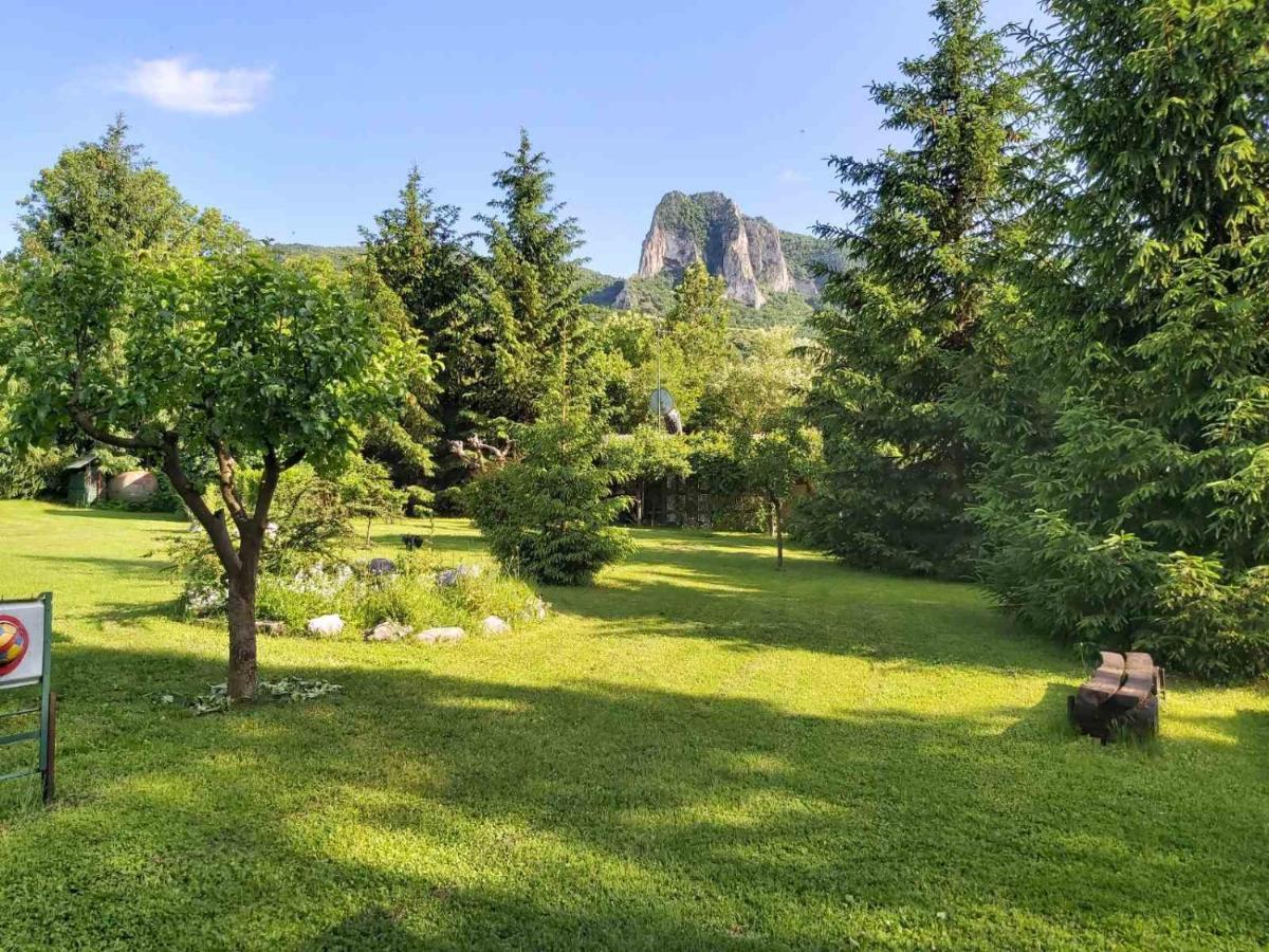Bungalow Camping Edelweiss - Floare De Colt - Gyopar Риметя Экстерьер фото