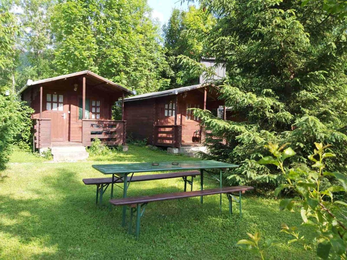 Bungalow Camping Edelweiss - Floare De Colt - Gyopar Риметя Экстерьер фото