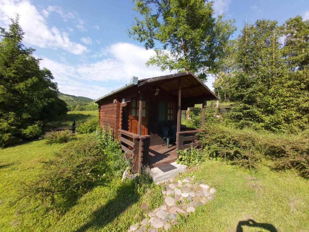 Bungalow Camping Edelweiss - Floare De Colt - Gyopar Риметя Экстерьер фото
