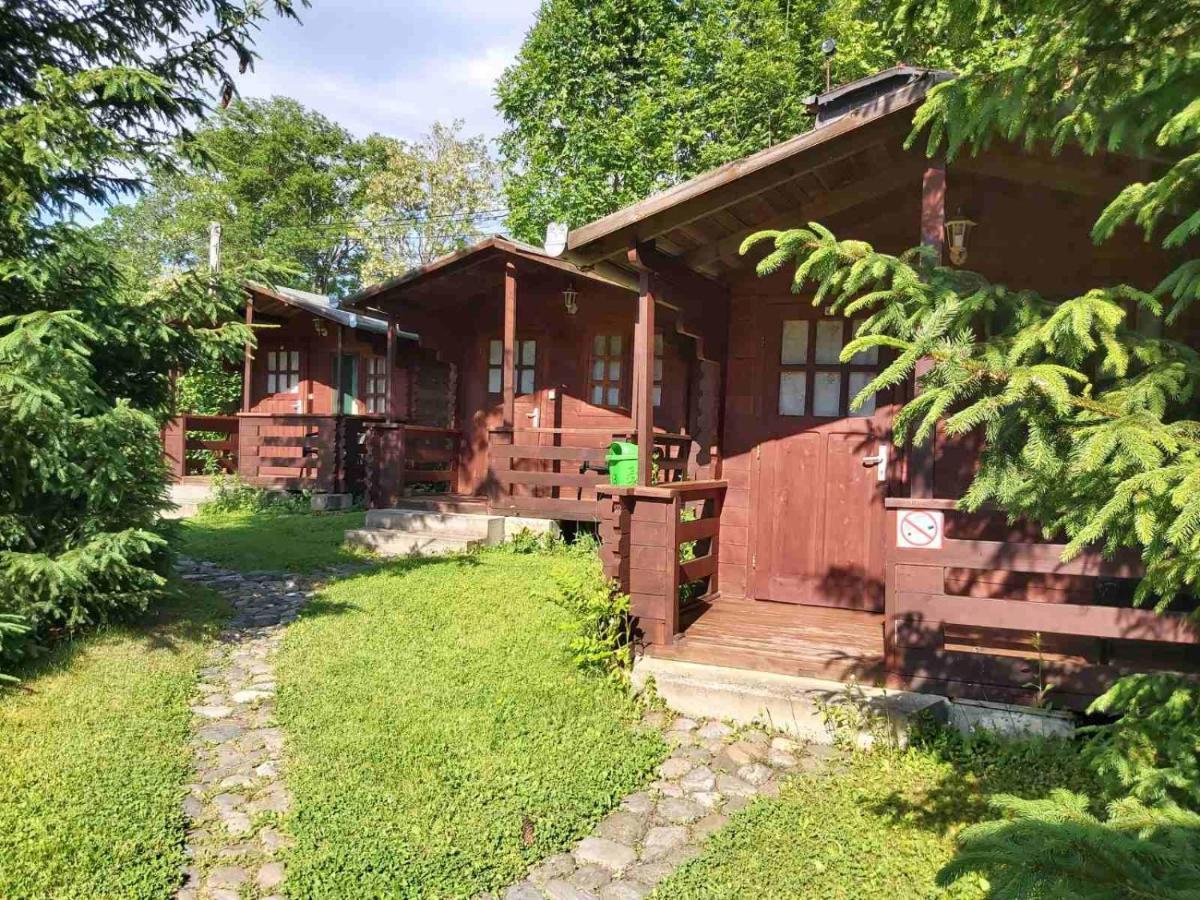 Bungalow Camping Edelweiss - Floare De Colt - Gyopar Риметя Экстерьер фото