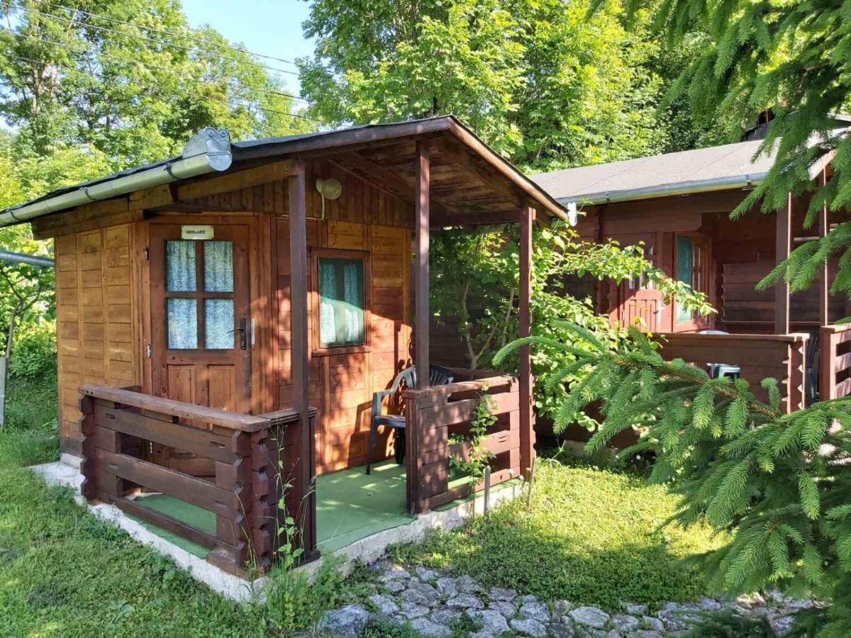 Bungalow Camping Edelweiss - Floare De Colt - Gyopar Риметя Экстерьер фото